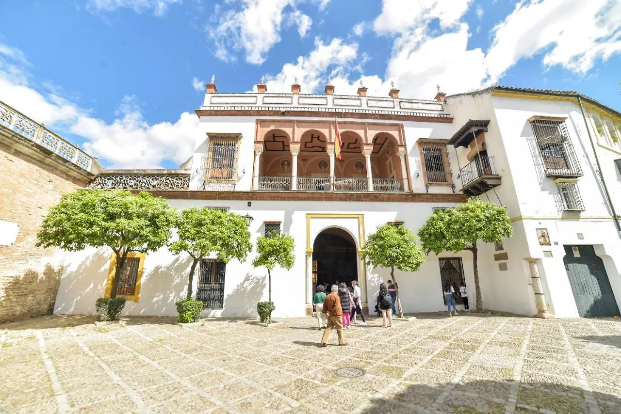 Peace, Pool & Parking At Centre Apartment Seville